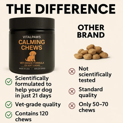 Calming Chews for Dogs – Natural Stress & Relaxation Support