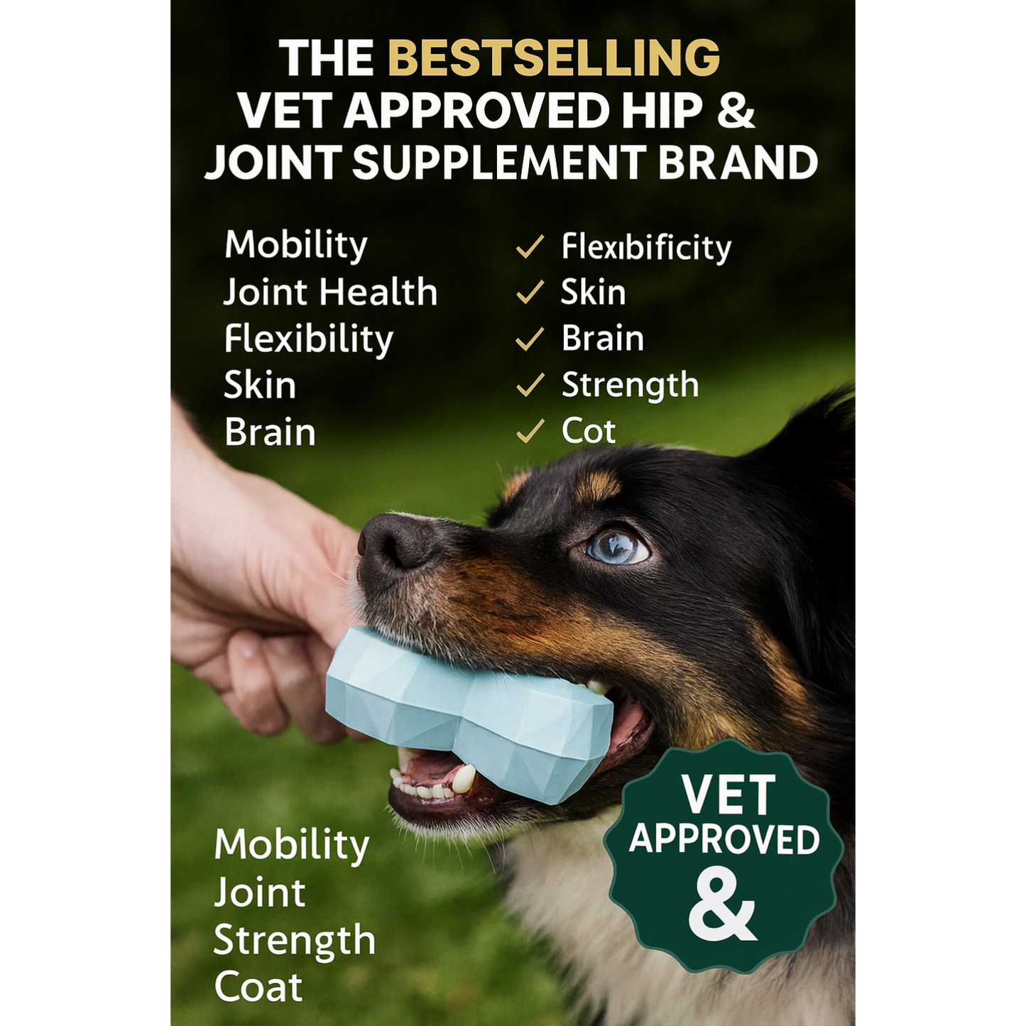 Hip & Joint Chews – Natural Joint & Mobility Support for Dogs