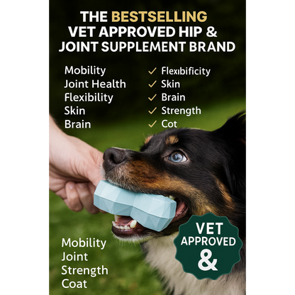 Hip & Joint Chews – Natural Joint & Mobility Support for Dogs